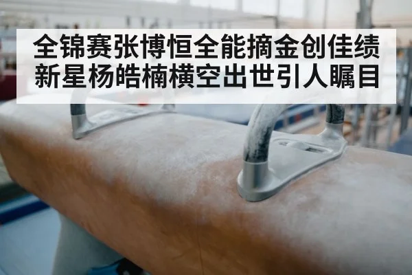 全锦赛张博恒全能摘金创佳绩 新星杨皓楠横空出世引人瞩目